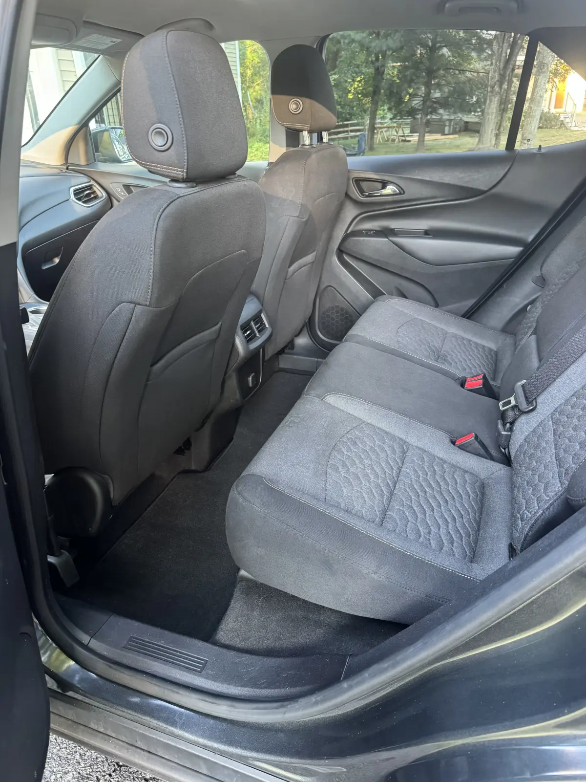 Mold in Your Car: Causes, Safety, and When to Call a Pro