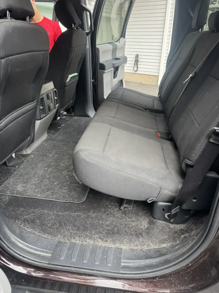 Pet hair removal before. Dog hair covering back seat trunk before GNG auto detailing